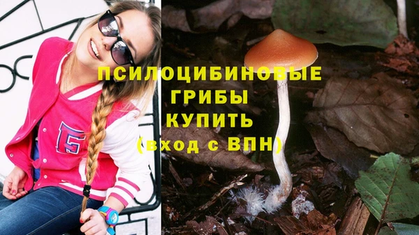 PSILOCYBIN Волосово